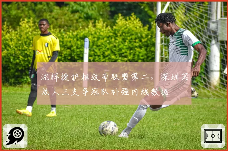 沈梓捷护框效率联盟第二，深圳若放人三支争冠队补强内线数据