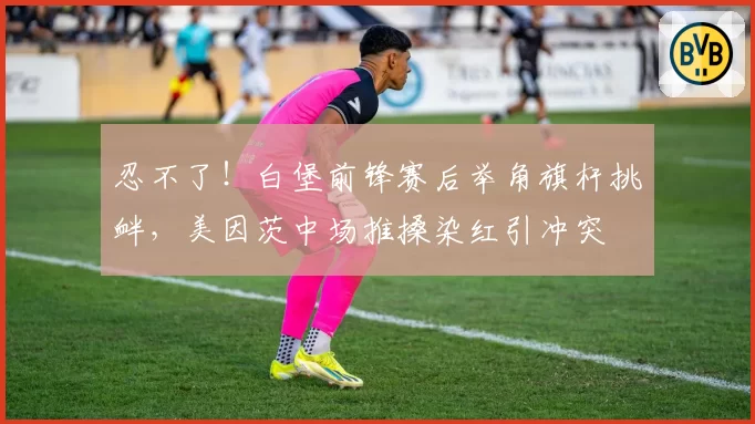 忍不了！白堡前锋赛后举角旗杆挑衅，美因茨中场推搡染红引冲突