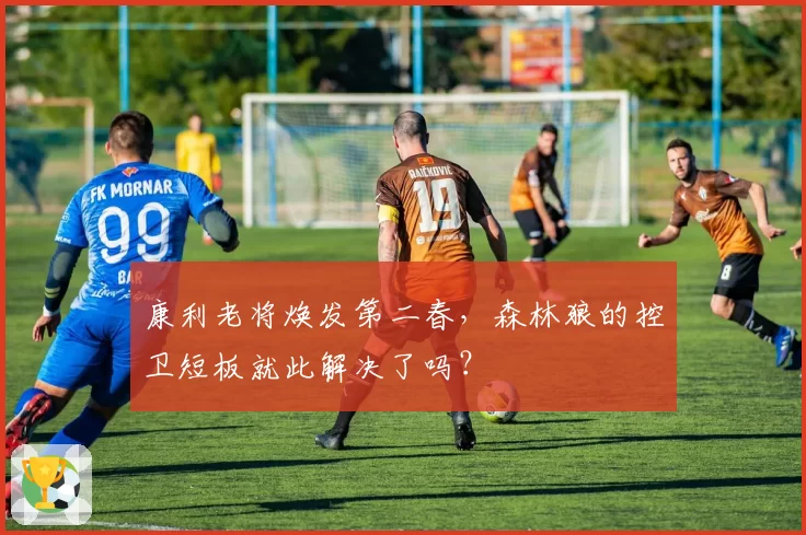 康利老将焕发第二春，森林狼的控卫短板就此解决了吗？